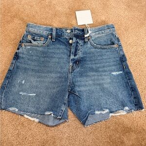 Pistola Andie Denim Shorts in Thesis Distressed NWT
